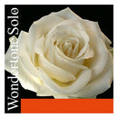 Pirastro Wondertone Solo Violin E String 4/4 Silver E-Ball