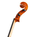 Chamber Student 300 Cello - 1/10
