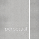 Pirastro Perpetual Violin E String 4/4 E-Ball Platinum (26 Mittel)